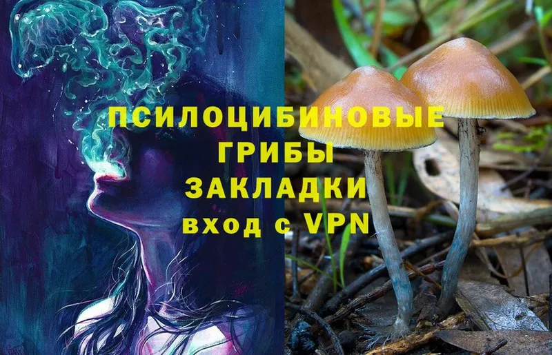 Галлюциногенные грибы Psilocybe  Иннополис 